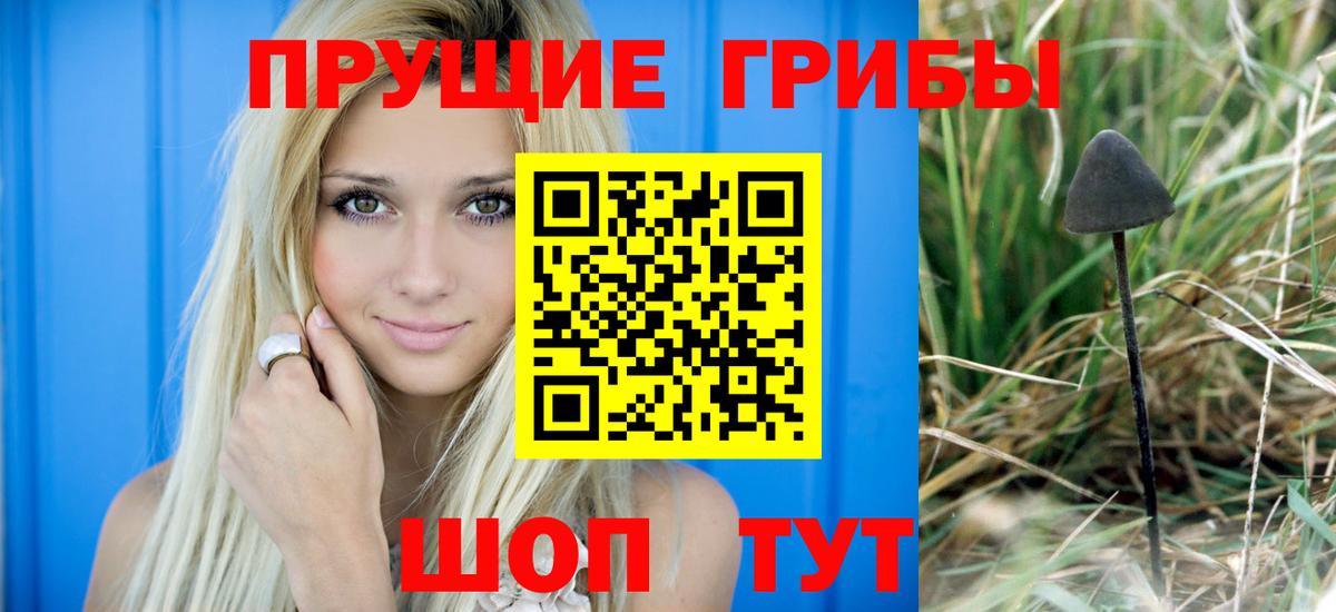Екатеринбург  Галлюциногенные грибы мицелий  Вход с VPN 